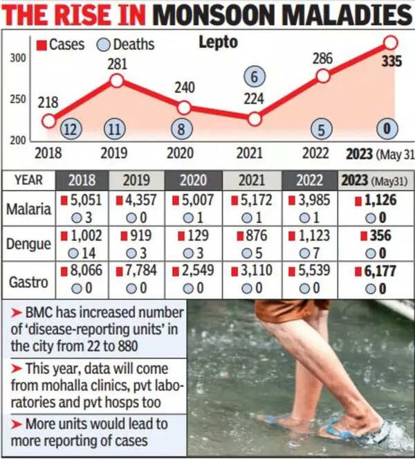 300+ Lepto Cases In City Before Rains, Bmc To Study Patients For