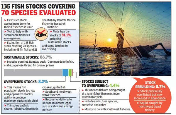 91% of Indian fish stock found healthy, southeast coast best