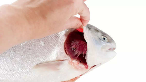 Tips to buy fresh fish and seafood - Times of India