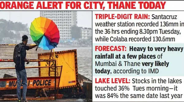 Mumbai rains: In suburbs of Vasai-Virar, 247 mm rain brings back