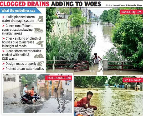 Centre Guidelines On Flood-proofing Ignored, Led To Mayhem: Activists ...