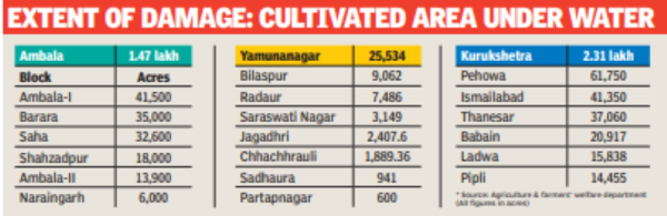 Farmers Suffer Heavy Crop Loss In 3 Northern Haryana Districts ...