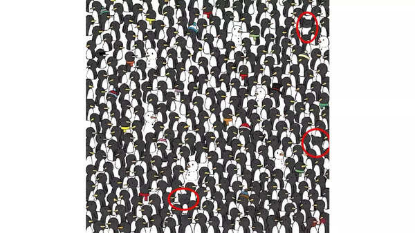 Optical Illusion to Test Your Vision: Find 3 Cats Among Penguins in 10 ...