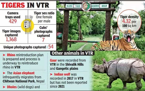 tiger conservation