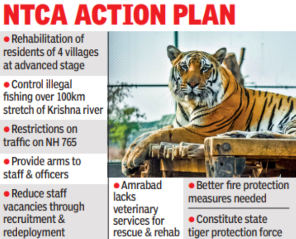 Market Research: ‘cut Human Footprint To Save Tigers In Amrabad ...