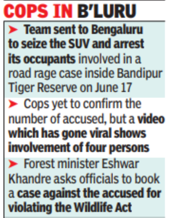Mysuru News: Cops probe Bandipur road rage | Mysuru News - Times of India