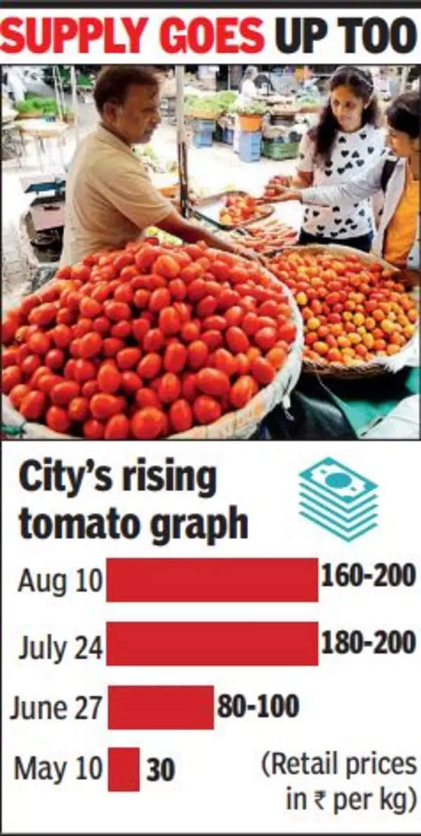 Tomato rates dip in Nashik, bring hope to Mumbaikars too Mumbai News