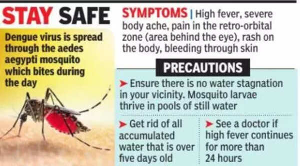 dengue mosquitoes breeding