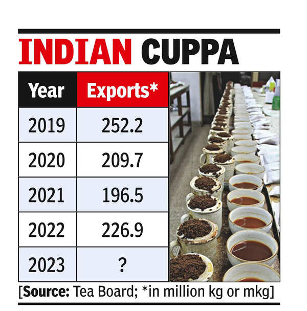 Exports outlook bleak; China mkt can save Darj tea: ITEA