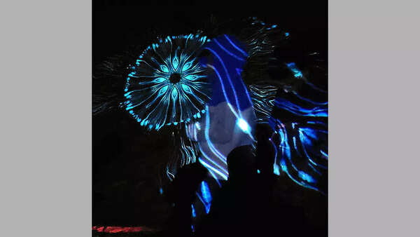 German light artist Philipp Frank lit up Leh's Disko Valley