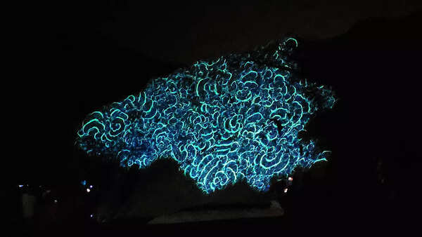 The theme of Philipp Frank's projections was water