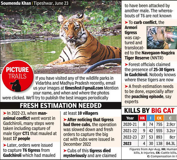 Rot Runs Deep: As Poachers Get Active, Human Conflict With Tigers Goes ...