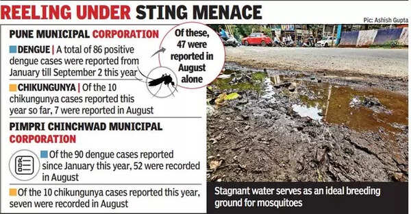 dengue cases in Pune