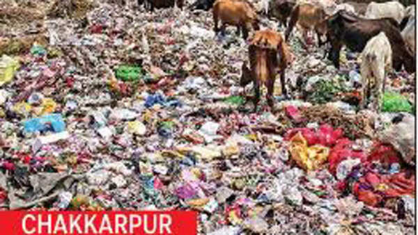 Waste Management: G20 Is Here, But Waste Still Lines City’s Roads ...