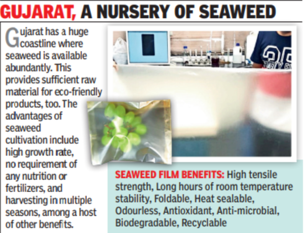 In Gujarat, seaweed food packs to fight use of plastic | Rajkot News ...