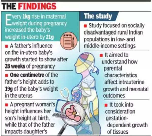 Nutrition Parents Weight Height Can Affect Baby In Uterus