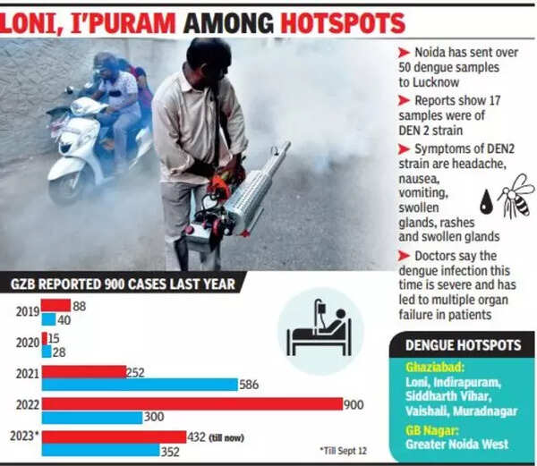New dengue strain
