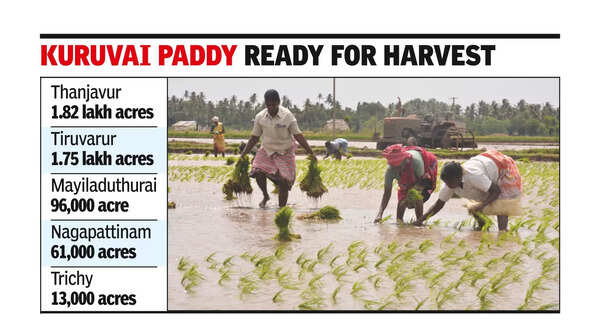 Trichy: Panels To Monitor Procurement Centres | Trichy News - Times of ...