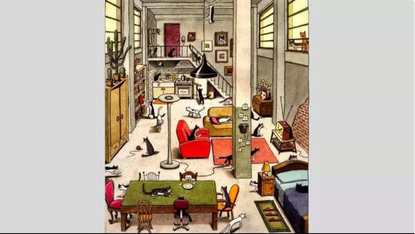 Cat Puzzle