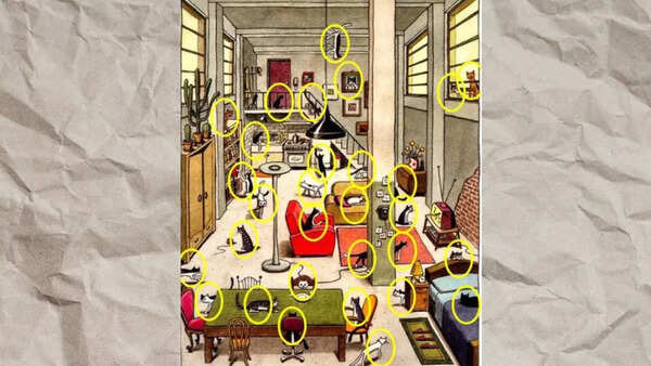 Cat Puzzle