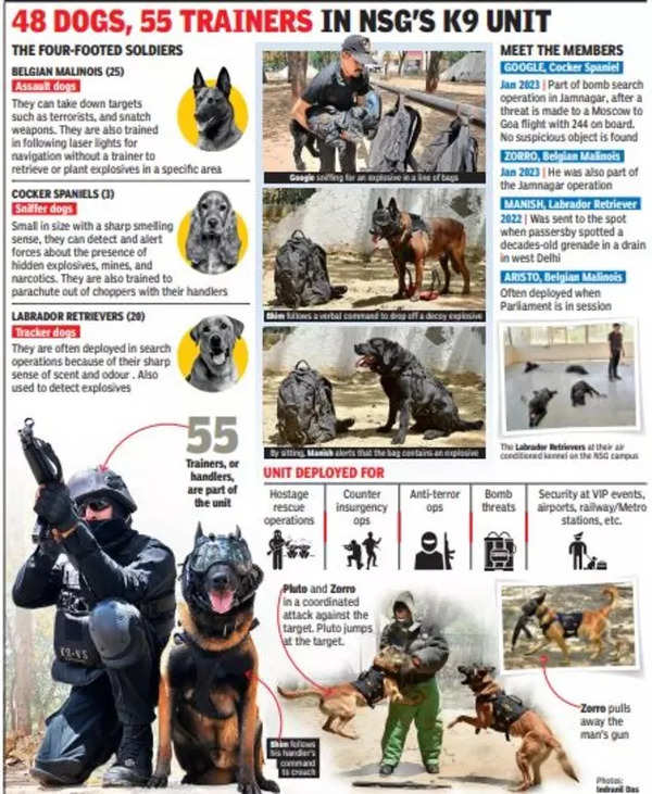 Singh sale k9 security