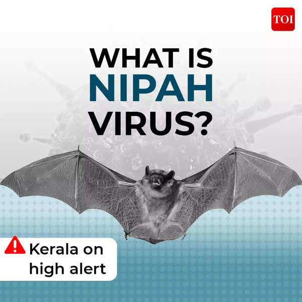 Infographic: Zoonotic Pathogen: Nipah Virus In Kerala: Key Facts About ...