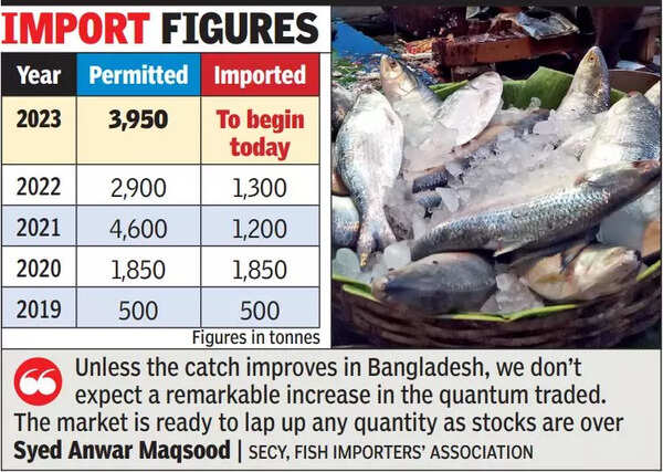 Bangladesh hilsa