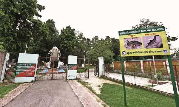 A starlight safari in Lucknow's Kukrail forest | Lucknow News - Times ...