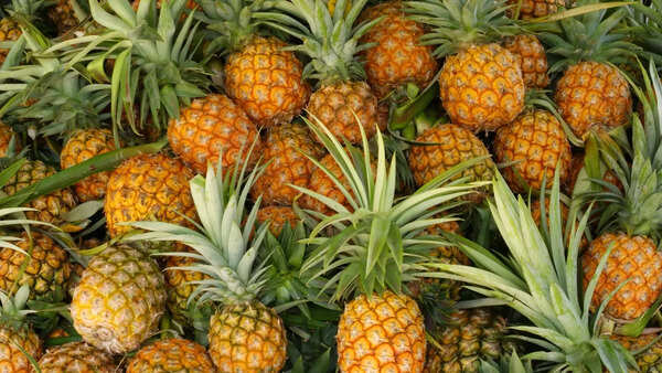 4 simple ways to select fresh and sweet pineapple - Times of India