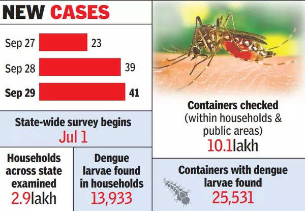 100 Dengue Cases In Last 3 Days, Concern Over Chikungunya, Too | Ranchi ...