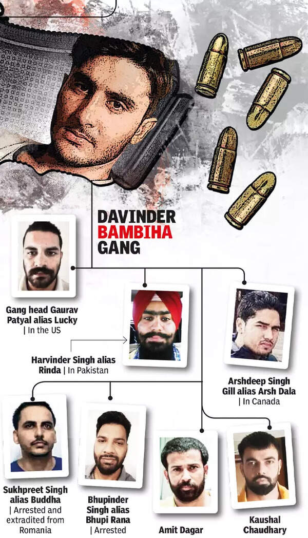 Picture of Davinder Bambiha