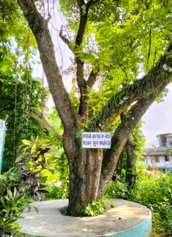 ashram 3