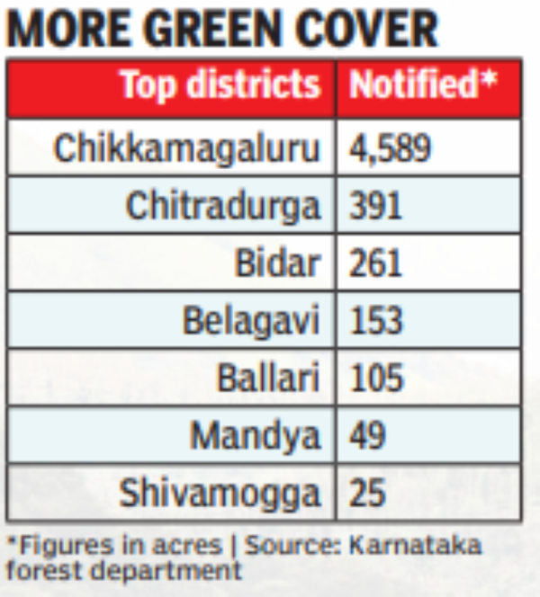 ಹಸಿರು ಹೊದಿಕೆ