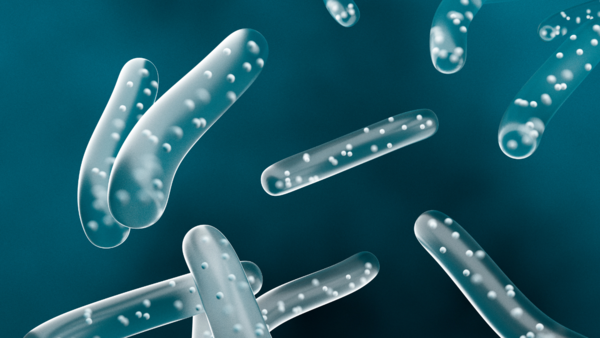 probioticc