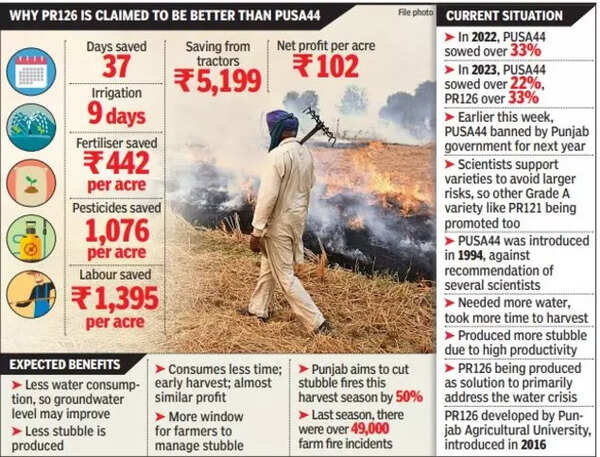 Tracing back to green revolution, rice variant that could ease Delhi's ...