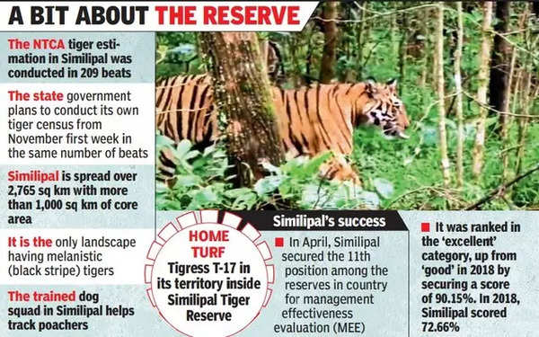 tigers on Category