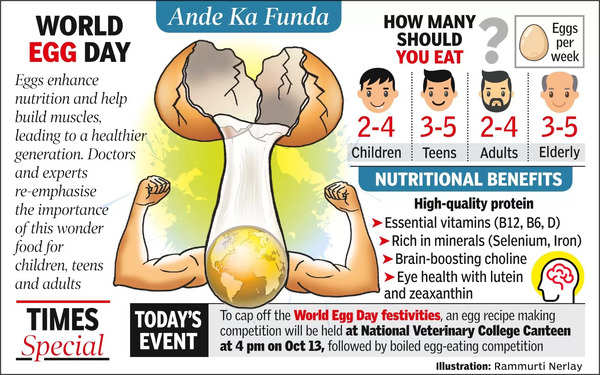 Nutrition: Egg Consumption In Vidarbha Up From 70 Per Person To 94