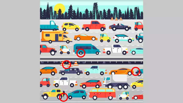 Optical Illusion: Can you spot all the road hazards in this brain ...