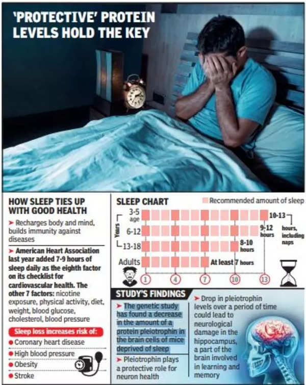 Sleeping Positions - How They Affect Your Health? - By Dr. Arunesh Dutt  Upadhyay