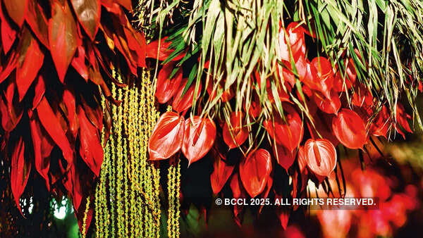 Flowers of these installations will be recycled to make incense sticks Flowers of these installations will be recycled to make incense sticks