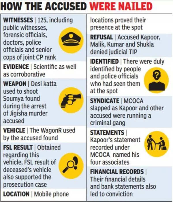 Soumya Vishwanathan murder