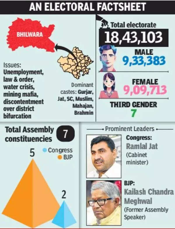 Bhilwara political landscape