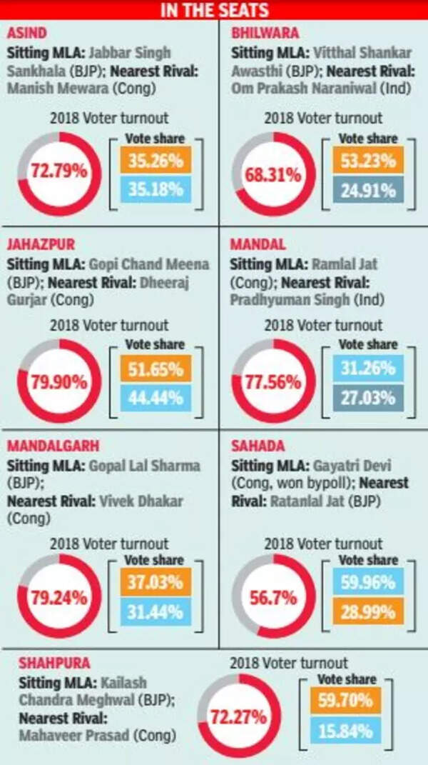 Bhilwara political landscape