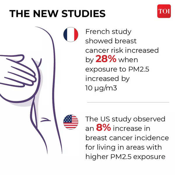 Air Pollution Linked To Breast Cancer Times Of India   104673963 