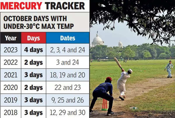 Temperature dips below 30°C on Dashami after 20 days, then climbs to 31.7°C | Kolkata News – Times of India