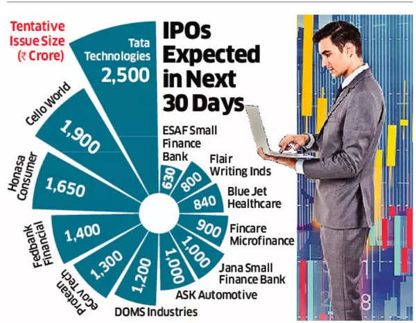 IPOs expected in next 30 days