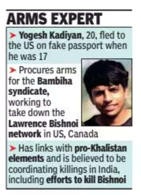 Bishnoi: Interpol discover on 20-yr-old Yogesh Kadiyan, rival of Lawrence Bishnoi within the US | India Information