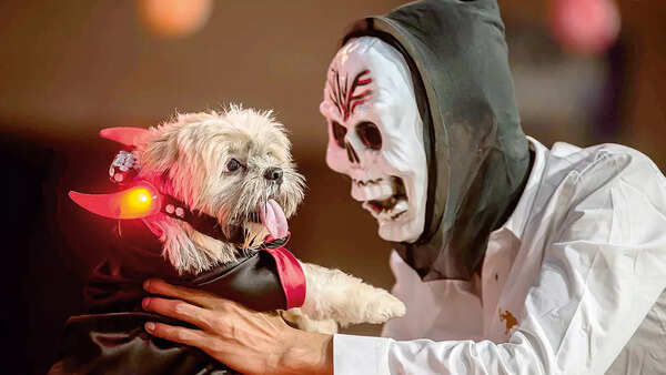 Cadbury gets in Halloween mood