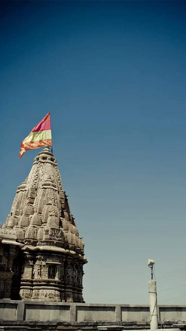 Weight loss Sesame seeds can help you burn belly fat Times of India