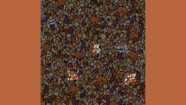 There are three birds hidden among these fruits; can you find them?